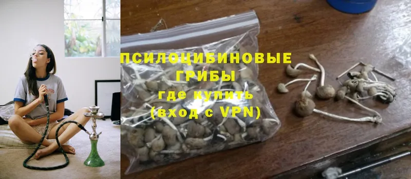 Псилоцибиновые грибы Magic Shrooms  Мглин 